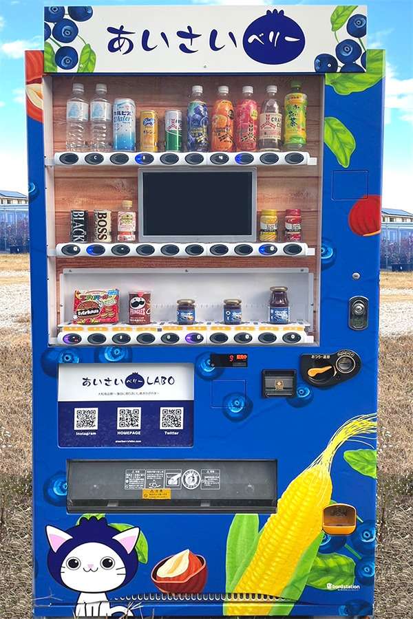生ブルーベリーのベストレートである自販機での販売価格について