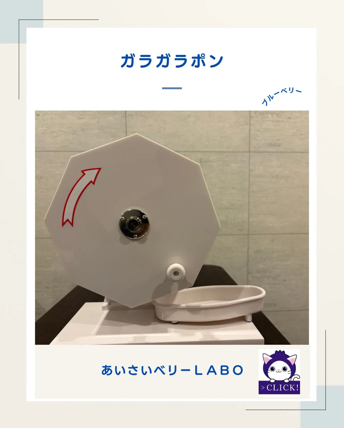 ブルーベリー狩りオープン日