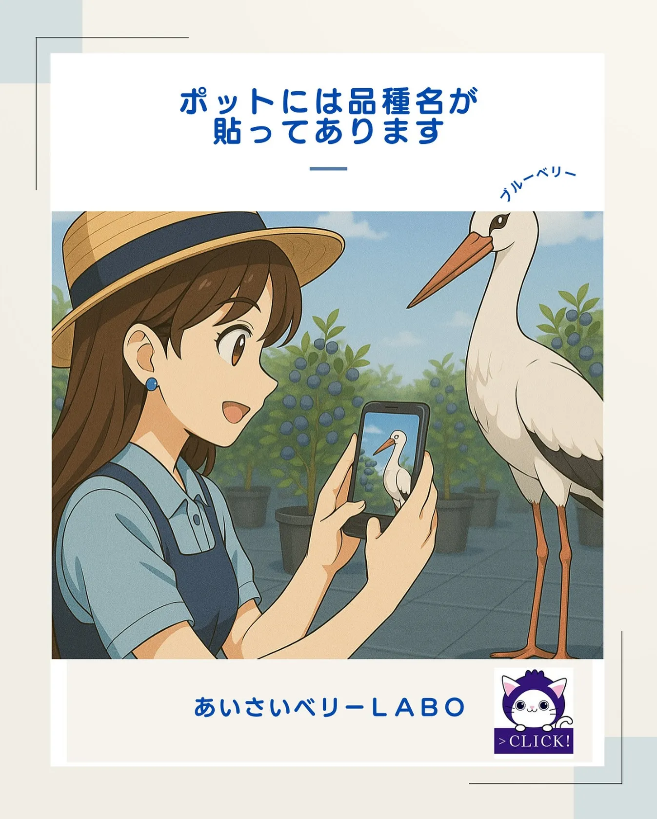 一列目のポットには品種名が貼ってあります