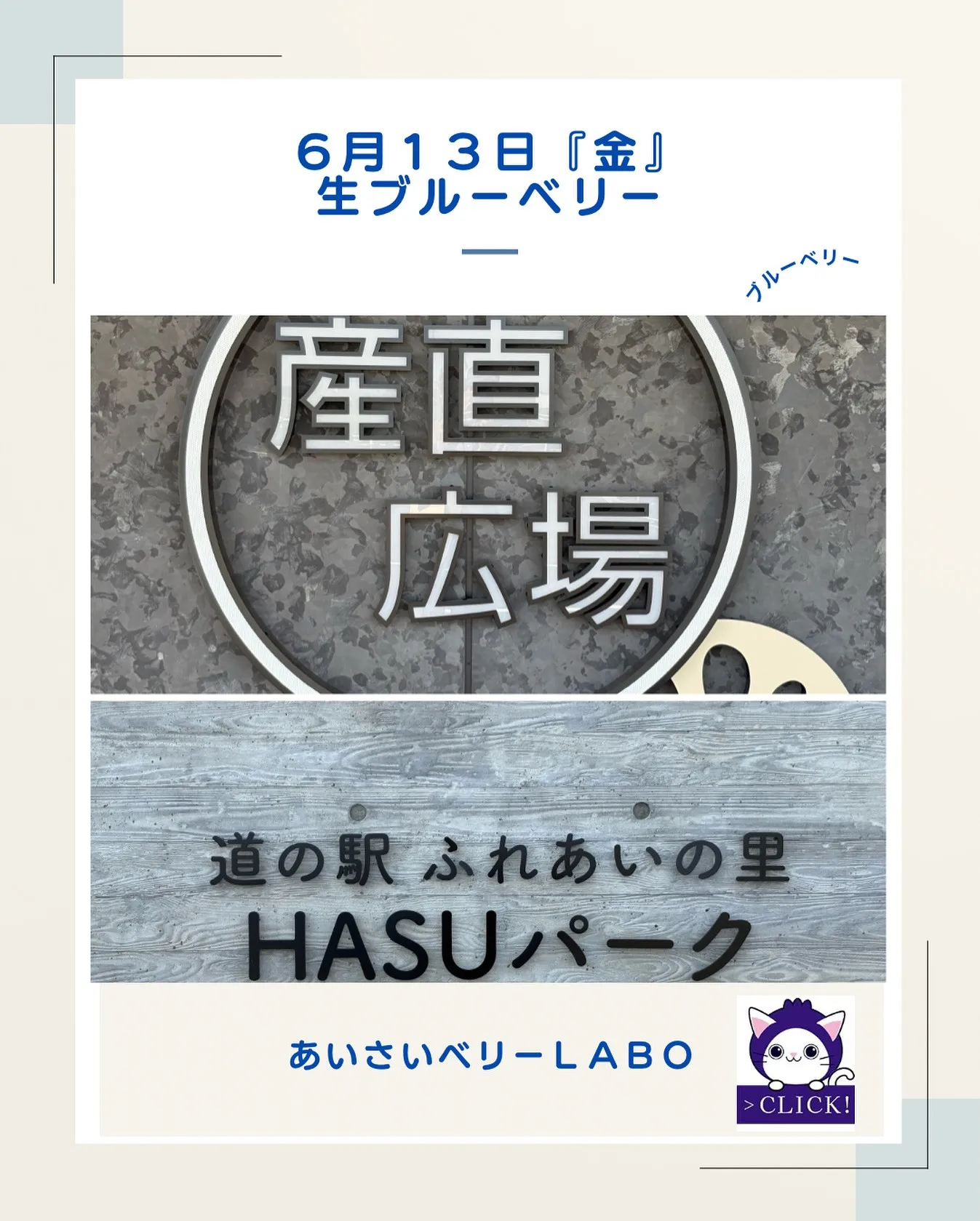 ６月１３日『金』生ブルーベリー
