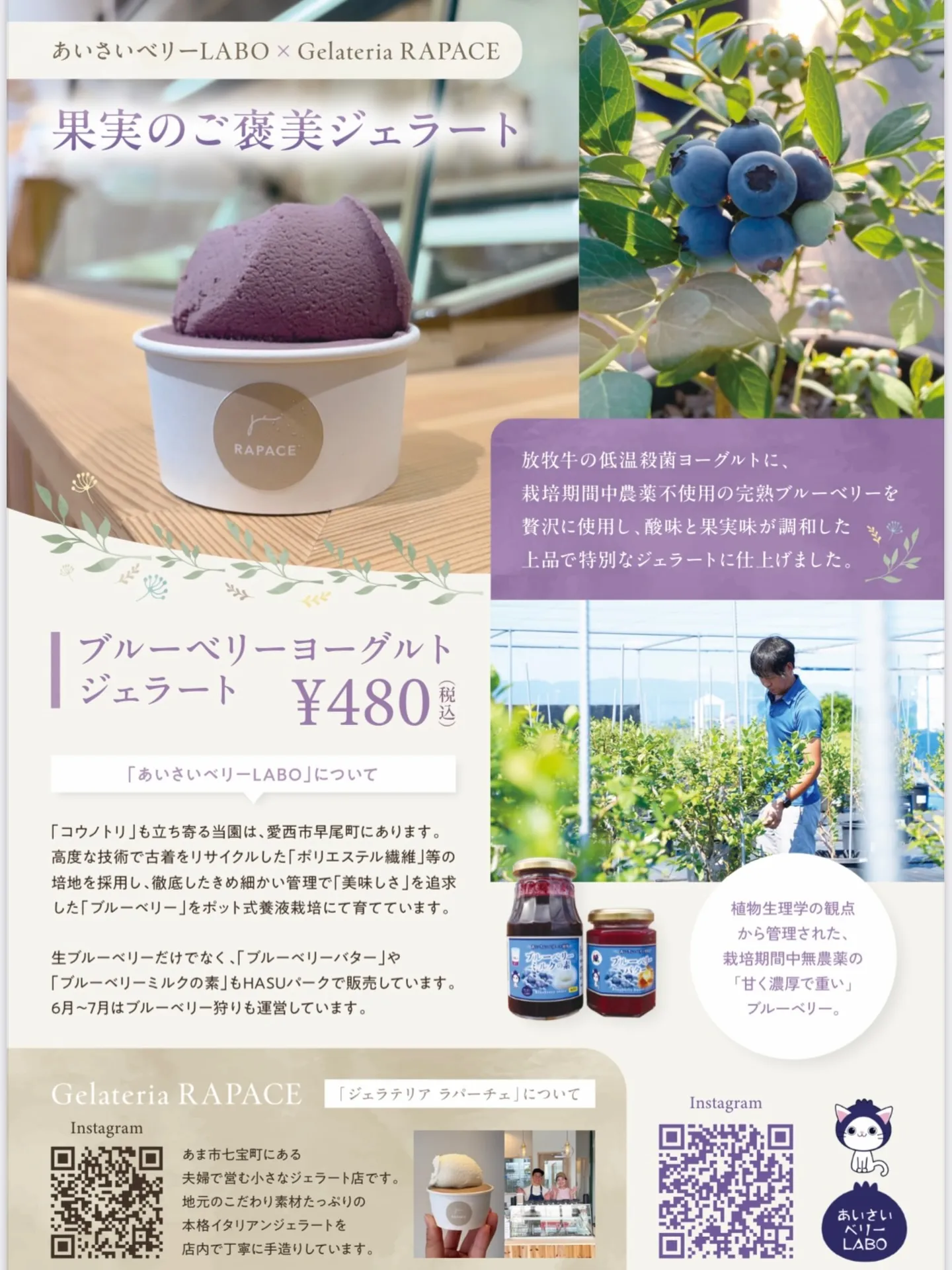 あいさいベリーＬＡＢＯのジェラートの販売