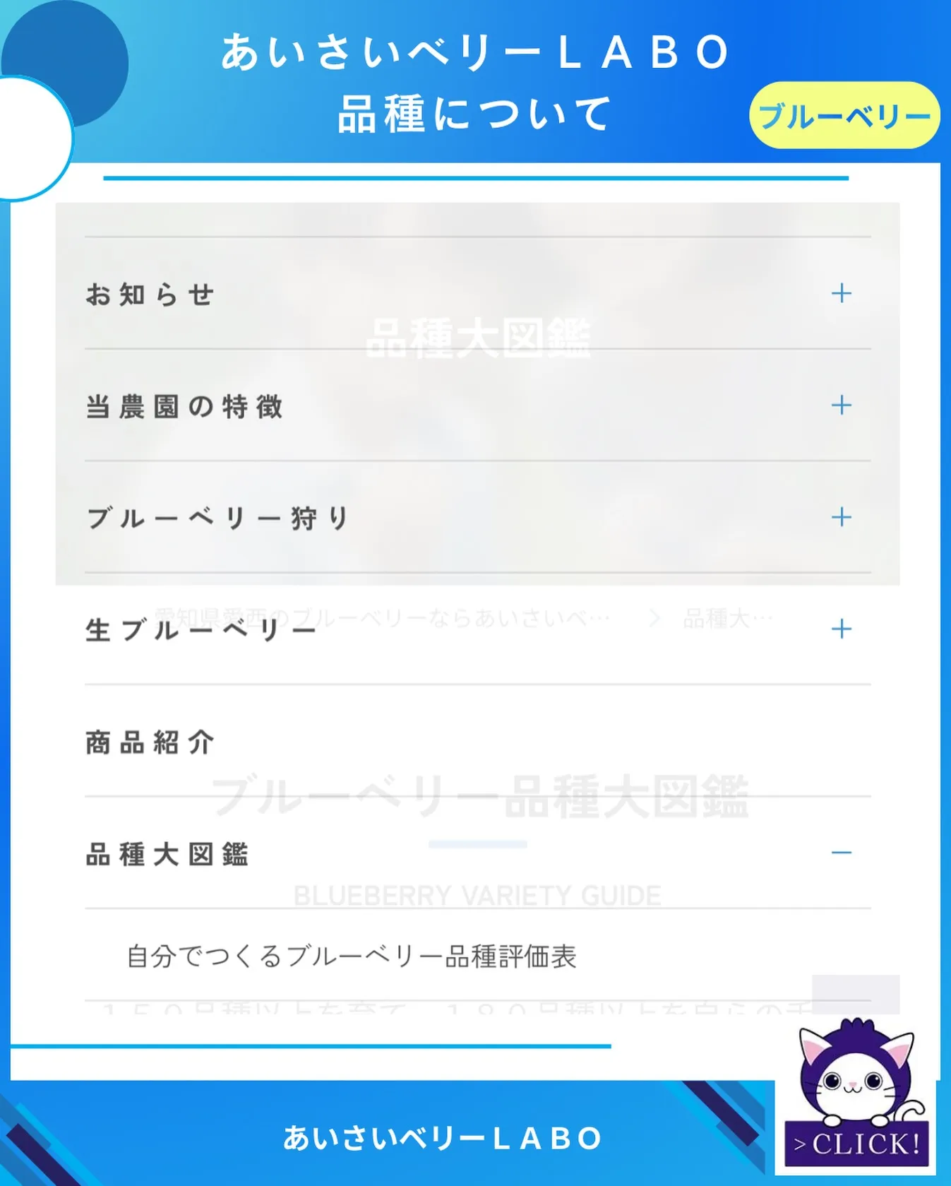 ブルーベリーの品種について