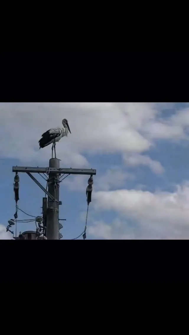 幸せになれる農園