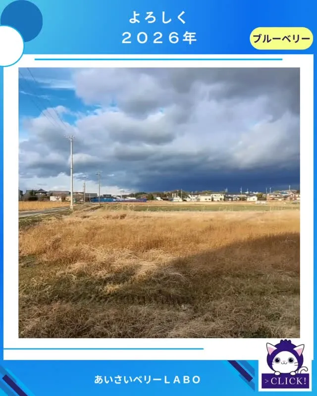 ブルーベリー農園の拡張整備