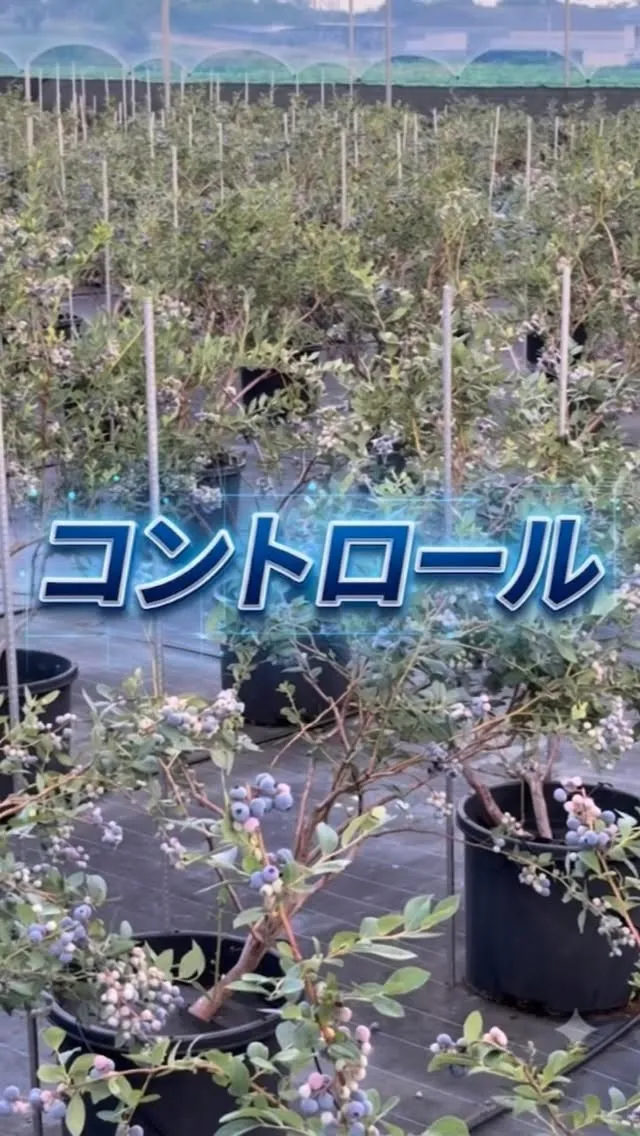 コントロール